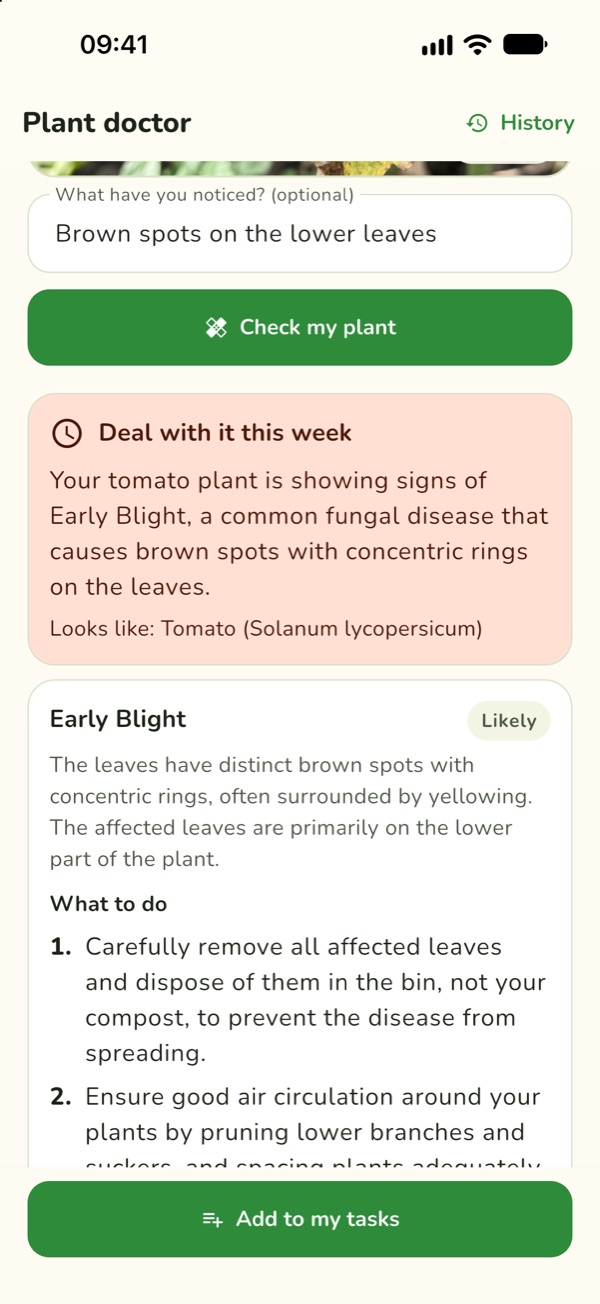 The plant doctor's answer for that photo: likely Early Blight, deal with it this week, and what to do