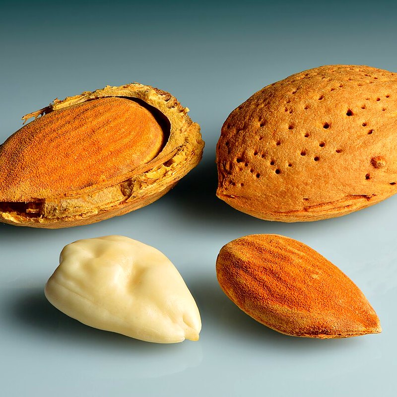 Almond (Robijn)