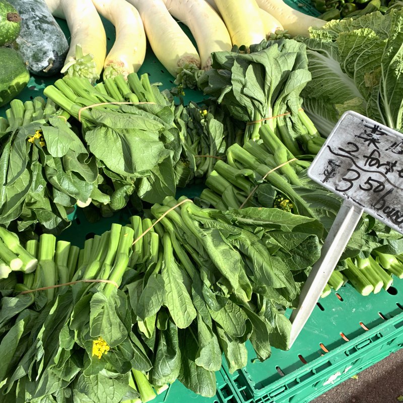 Choy Sum