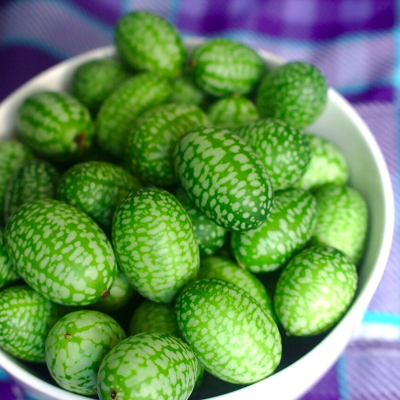 Cucamelon