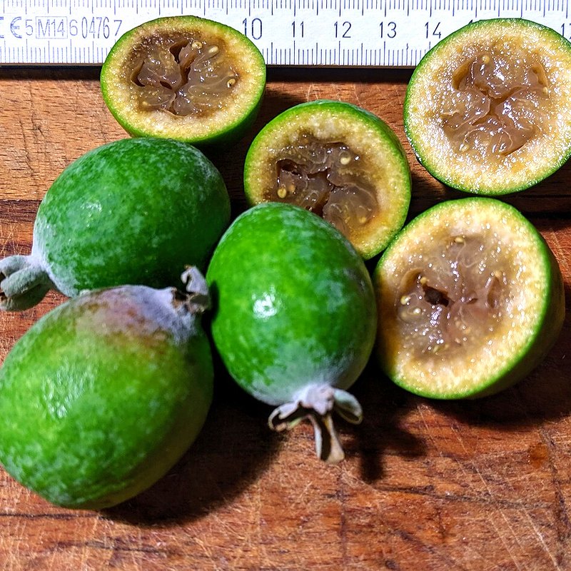 Feijoa (Pineapple Guava)