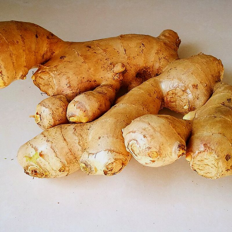 Ginger