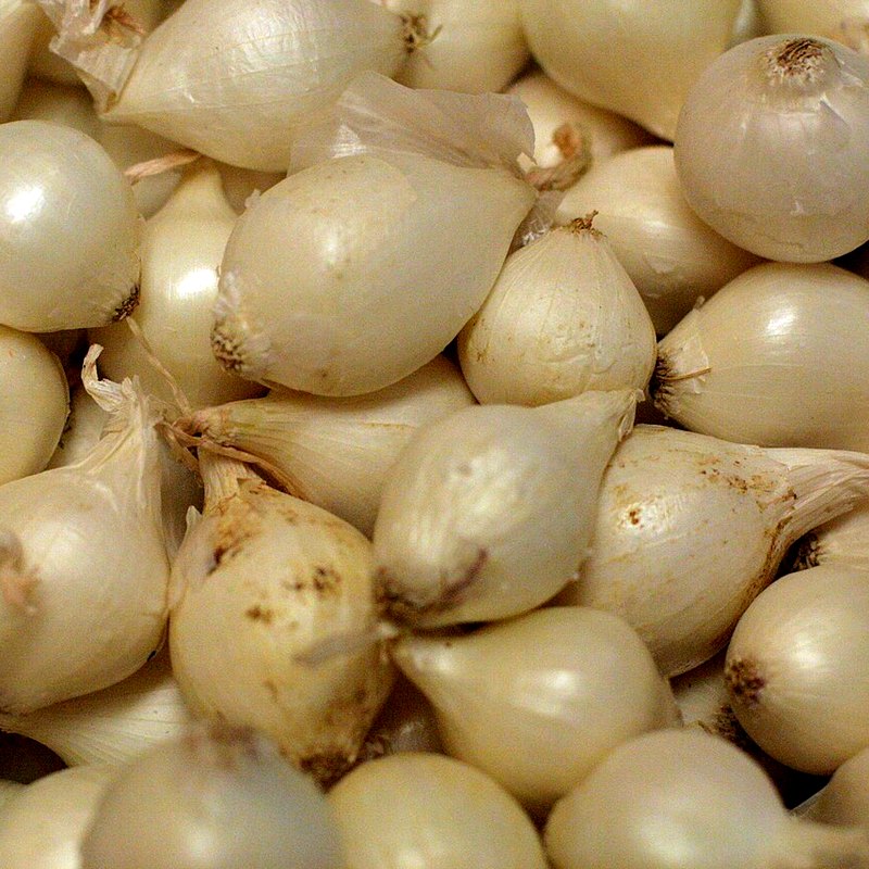 Pickling Onion (Paris Silverskin)