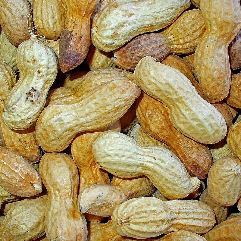 Peanut